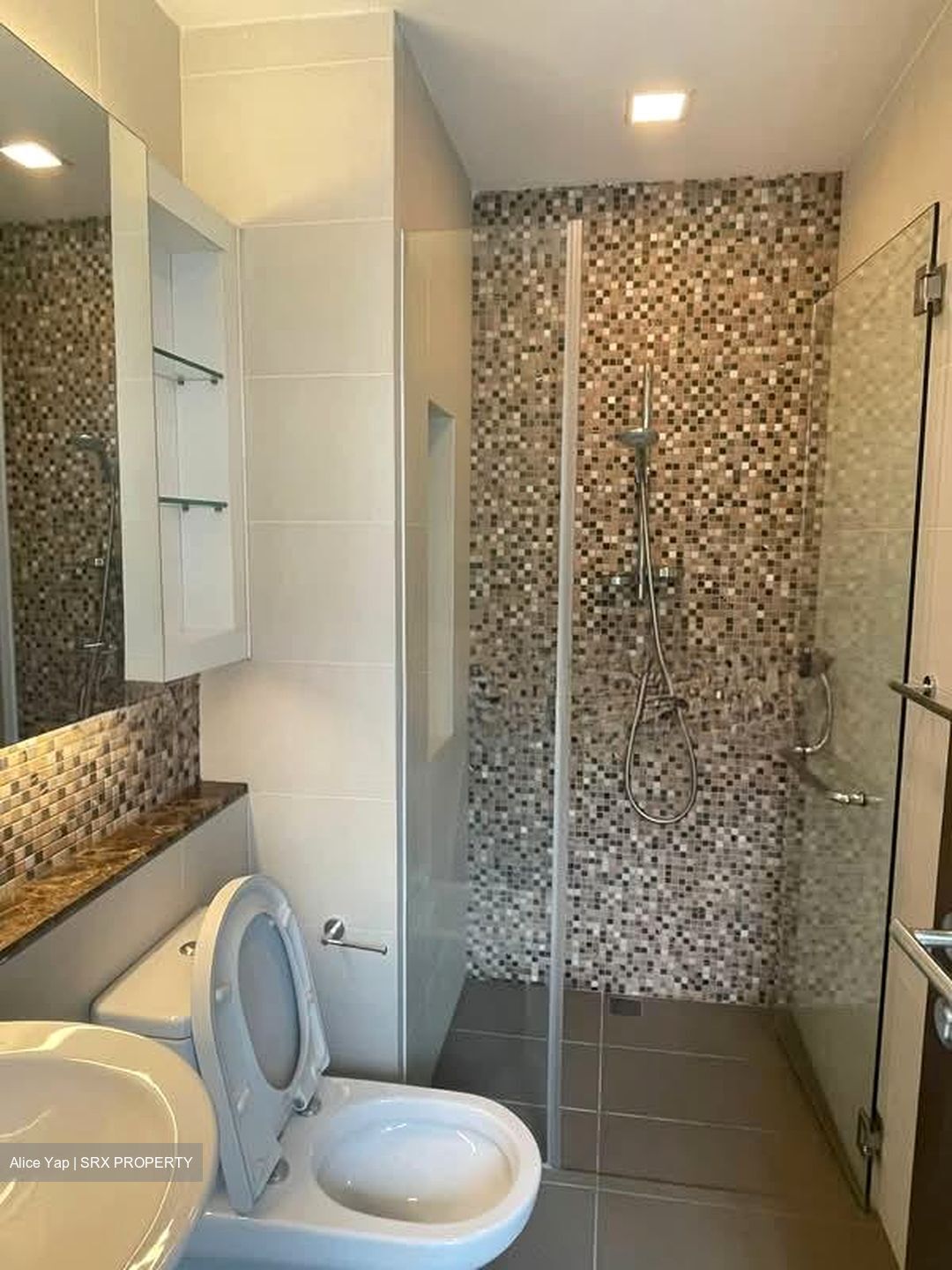 Radiance @ Bukit Timah (D21), Terrace #580427701